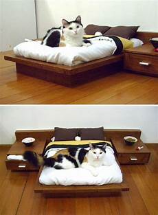 Furniture Sofa