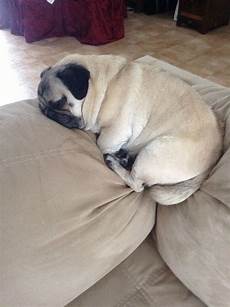 Sofa Legs