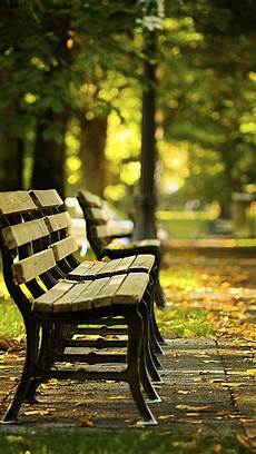 Wooden Bench